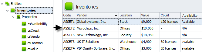 IT Inventory Software Database Customization